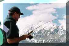 1998.p-10.jpg (14340 bytes)