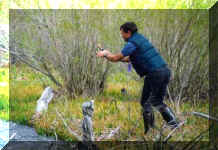 1998.p-12.jpg (23884 bytes)