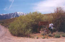 08.jpg (123391 bytes)