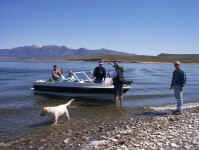 16.jpg (141119 bytes)