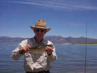 17.jpg (61984 bytes)