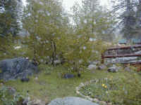 p6080010.jpg (63037 bytes)