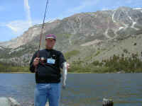 p6100035.jpg (62046 bytes)