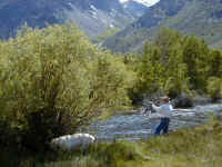 p6100051.jpg (64054 bytes)