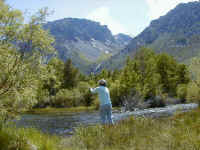 p6100053.jpg (64402 bytes)