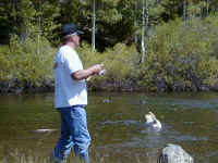 p6100054.jpg (63337 bytes)