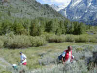 p6100057.jpg (64705 bytes)