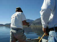 P6070006.JPG (58534 bytes)