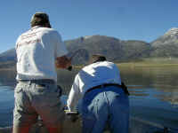 P6070007.JPG (58357 bytes)