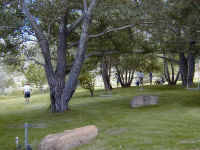 P6070013.JPG (64369 bytes)