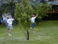 P6070016.JPG (62252 bytes)