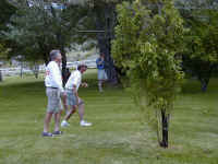 P6070017.JPG (63656 bytes)