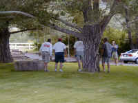 P6070018.JPG (63042 bytes)