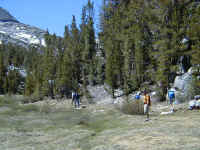 P6080032.JPG (63819 bytes)