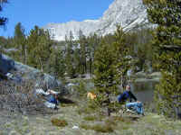 P6080035.JPG (63154 bytes)