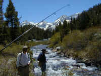 P6080040.JPG (63635 bytes)