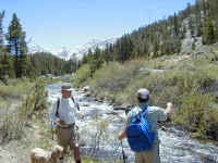 P6080043.JPG (63523 bytes)