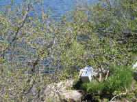 IMG_0522.JPG (758025 bytes)