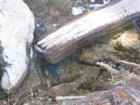 IMG_0526.JPG (511594 bytes)