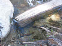 IMG_0527.JPG (529442 bytes)