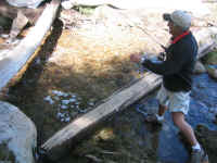 IMG_0528.JPG (547630 bytes)