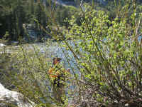 IMG_0532.JPG (734975 bytes)