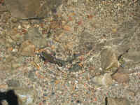 IMG_0534.JPG (607494 bytes)