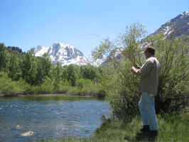 IMG_1134.JPG (1970532 bytes)