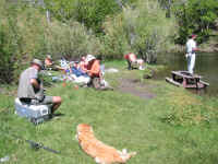 img_2222.jpg (1122542 bytes)