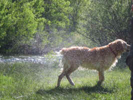 img_2240.jpg (1026412 bytes)