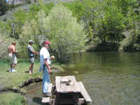 img_1127.jpg (2314358 bytes)