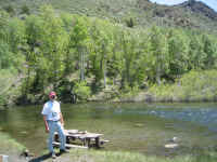 img_1129.jpg (2457156 bytes)