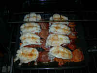 2006 030 (Custom).jpg (197248 bytes)