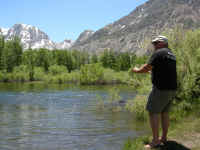 2006 033 (Custom).jpg (394488 bytes)