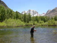 2006 034 (Custom).jpg (341592 bytes)