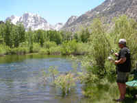 2006 037 (Custom).jpg (438888 bytes)