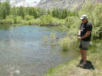 2006 039 (Custom).jpg (486464 bytes)