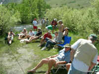 2006 042 (Custom).jpg (487420 bytes)