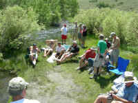 2006 045 (Custom).jpg (487689 bytes)