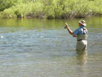 2006 049 (Custom).jpg (363909 bytes)