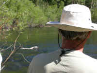 2006 056 (Custom).jpg (199533 bytes)