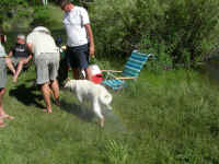 2006 060 (Custom).jpg (503346 bytes)