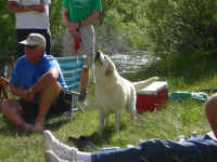 2006 072 (Custom).jpg (374729 bytes)