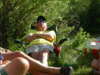 2006 087 (Custom).jpg (385428 bytes)