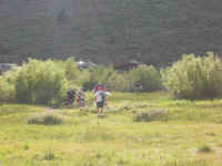 2006 089 (Custom).jpg (305982 bytes)