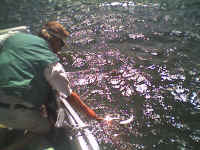 2006 109.jpg (67276 bytes)