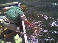 2006 110.jpg (54925 bytes)