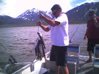 2006 113.jpg (36324 bytes)