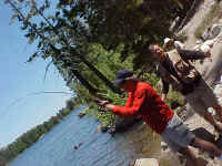 Walker 2 in 06.jpg (74060 bytes)