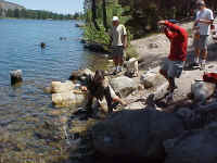 Walker 3 in 06.jpg (73319 bytes)